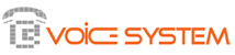 voice system