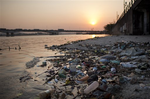 polluted bay