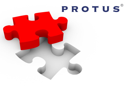 SMBs Get a Helping Hand with Web-Based Business Solutions: Protus