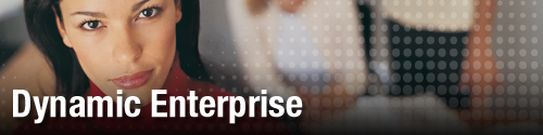 Dynamic Enterprise on the Next Generation Communications Community