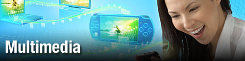 Multimedia on the Next Generation Communications Community