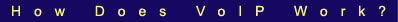 service provider voip works