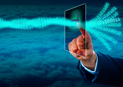 OneAccess Introduces Virtualization Solutions