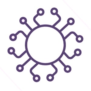 vector