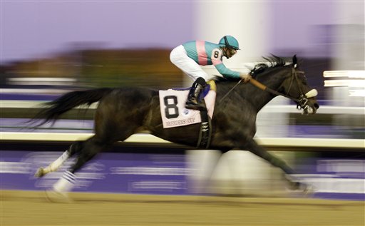
 Mike Smith reacts after riding Zenyatta to a second place finish in the Classic race at the Breeder's Cup horse races at Churchill Downs Saturday, Nov. 6, 2010, in Louisville, Ky. (AP Photo/David J. Phillip)
 