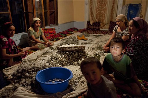 
 In this June 23, 2009 photo, family members clean silkworm cocoons in Kokand, Uzbekistan. The silkworm business dates back centuries to the Silk Road that ran through this Central Asian country. But its modern-day incarnation as a state monopoly has a dark side. Farmers say they are threatened with fines or loss of their land leases for missing quotas, and that these are so high that they have no choice but to draft their children into the work. (AP Photo/Alexander Zemlianichenko)
 