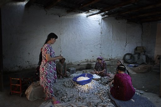 
 In this June 23, 2009 photo, teenage girls clean silkworm cocoons in Kokand, Uzbekistan. The silkworm business dates back centuries to the Silk Road that ran through this Central Asian country. But its modern-day incarnation as a state monopoly has a dark side. Farmers say they are threatened with fines or loss of their land leases for missing quotas, and that these are so high that they have no choice but to draft their children into the work. (AP Photo/Alexander Zemlianichenko)
 
