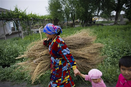 
 In this May 18, 2010 photo, a woman holds the hand of a child as she carries a bundle of dry twigs in Kokand, Uzbekistan. Silkworms she has raised in her house will climb the twigs to form cocoons. The silkworm business dates back centuries to the Silk Road that ran through this Central Asian country. But its modern-day incarnation as a state monopoly has a dark side. Farmers say they are threatened with fines or loss of their land leases for missing quotas, and that these are so high that they have no choice but to draft their children into the work. (AP Photo)
 