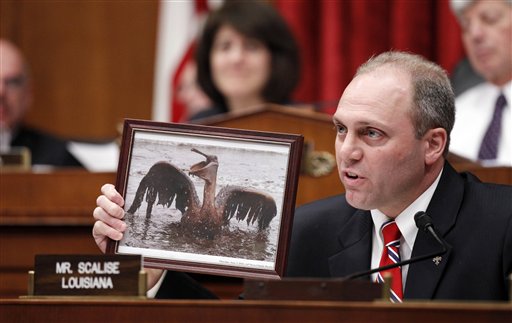 
 FILE - In this June 17, 2010 file photo, Rep. Steve Scalise, R-La., holds an Associated Press photo taken by Charlie Riedel of an oil-covered pelican, the state bird of Louisiana, as he questions BP CEO Tony Hayward, on Capitol Hill in Washington, during the House Oversight and Investigations subcommittee hearing on 'the role of BP in the Deepwater Horizon Explosion and oil spill. Retired Coast Guard Adm. Thad Allen, the federal government's point man on the disaster, said Sunday, Sept. 19, 2010, BP's well 'is effectively dead.' A permanent cement plug sealed BP's well nearly 2.5 miles below the sea floor in the Gulf of Mexico, five agonizing months after an explosion sank a drilling rig and led to the worst offshore oil spill in U.S. history. (AP Photo/Alex Brandon, File)
 