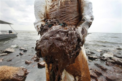 
 FILE - In this June 4, 2010 file photo, a clean-up worker picks up blobs of oil in an absorbent snare on Queen Bess Island at the mouth of Barataria Bay near the Gulf of Mexico in Plaquemines Parish, La. Retired Coast Guard Adm. Thad Allen, the federal government's point man on the disaster, said Sunday, Sept. 19, 2010, BP's well 'is effectively dead.' A permanent cement plug sealed BP's well nearly 2.5 miles below the sea floor in the Gulf of Mexico, five agonizing months after an explosion sank a drilling rig and led to the worst offshore oil spill in U.S. history. (AP Photo/Gerald Herbert, File)
 