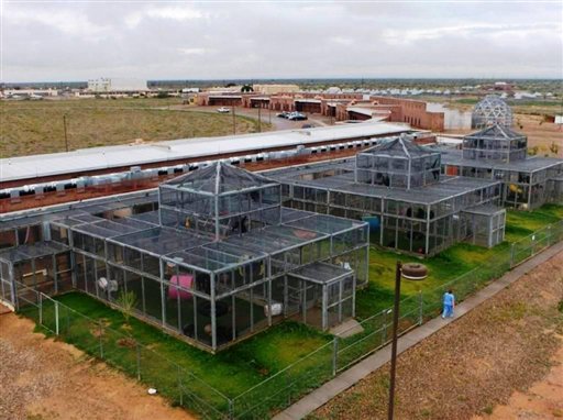 
 The Alamogordo Primate Facility at Holloman Air Force Base, N.M., is shown in this undated handout photo provided by the National Institutes of Health. The agency's decision to move 186 chimpanzees to Texas is pitting government officials and scientists against a coalition of New Mexico elected officials and animal rights advocates. (AP Photo/Alamogordo Primate Facility) NO SALES
 