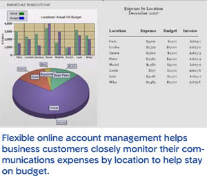 Flexible online account management helps business customers closely monitor their communications expenses by location to help stay on budget.